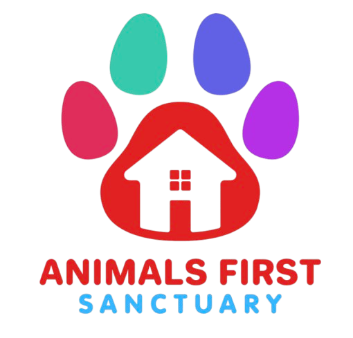 Animals First Sanctuary